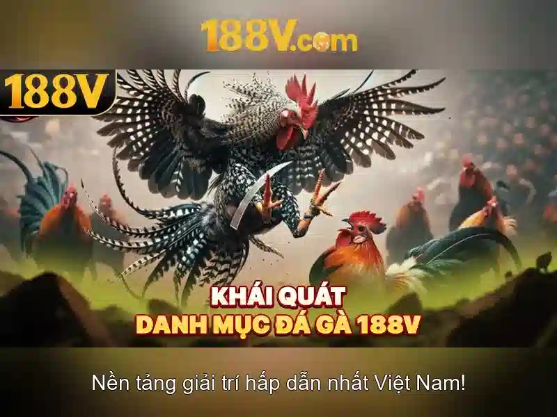 Tại Sao Nên Chọn 188V